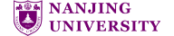 Network university